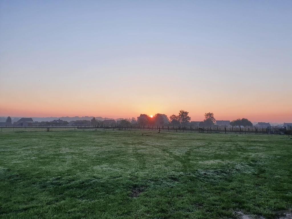Houten Huisje Tussen Paarden Nieuwerkerken Exterior photo